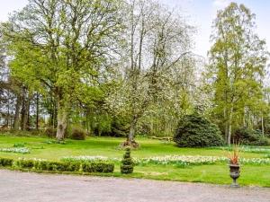 布莱尔高里Reidochie Stables luxury haven overlooking garden的公园里种满树木和花卉的公园