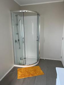 奥克兰Yucca Home的一间设有黄色地毯的淋浴的浴室