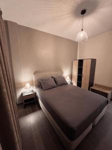 亚历山德鲁波利斯Supreme City Heart Suites的一间卧室配有一张大床和一盏灯