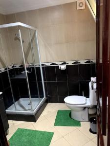 卡萨布兰卡chez maroine的浴室配有淋浴和带绿色垫子的卫生间。