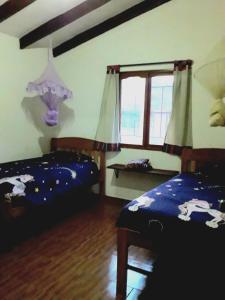 萨迈帕塔Casa Amaranta的一间卧室设有两张床和窗户。