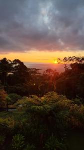 福尔图纳Birds & Breakfast Costa Rica的地平线上日落