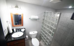 阿拉胡埃拉Villas Aracari的浴室配有卫生间、盥洗盆和淋浴。