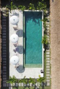 塞隆贝拉纳克Suku Lifestyle Hotel的享有带遮阳伞的游泳池的顶部景致