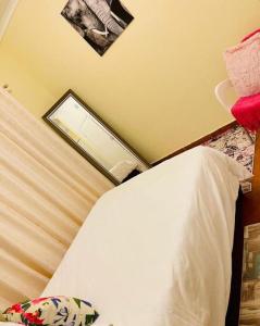 德班25 Swallow Yellowood的卧室配有白色的床和镜子