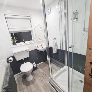瑟索North Coast Property - North Coast Cottage的浴室配有卫生间、盥洗盆和淋浴。