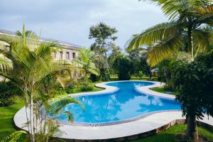 吉塞尼Gorillas Lake Kivu Hotel的棕榈树花园内的游泳池