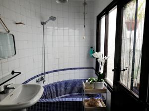阿瓜阿马加Casa Nomad es su hogar mágico en Agua Amarga的一间带水槽和淋浴的浴室