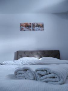 ŠišavaApartman Green的一间卧室配有一张带白色毯子的床