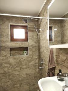 ŠišavaApartman Green的带淋浴、盥洗盆和镜子的浴室
