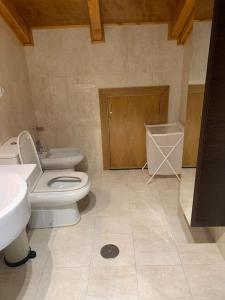 奥伦塞Agarimo das Burgas的一间带卫生间和水槽的浴室