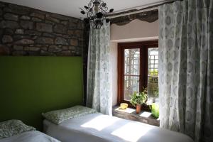 阿伯代尔Tunnel Cottages at Blaen-nant-y-Groes Farm的一间卧室设有绿色的墙壁、两张床和一扇窗户。