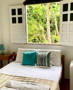 伊塔帕里卡岛维拉克鲁兹Alma Tropical Resort的一张带两个枕头的床和一个窗户