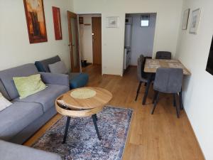 萨尔茨堡那内尔公寓的客厅配有沙发和桌子