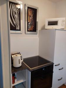 萨尔茨堡那内尔公寓的厨房配有冰箱和微波炉。