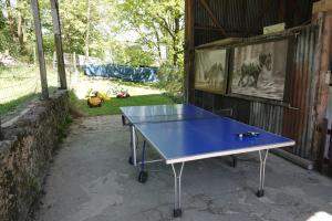 胡法利兹Coeur de Boeur的一张蓝色的乒乓球桌,坐在棚子里