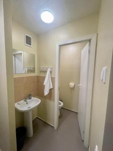 考纳斯Savan House "Easy Kaunas"的一间带水槽和卫生间的浴室