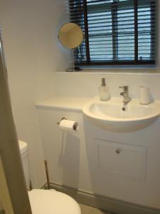 邓韦根Dunvegan Castle Laundry Cottage的一间带水槽、卫生间和镜子的浴室