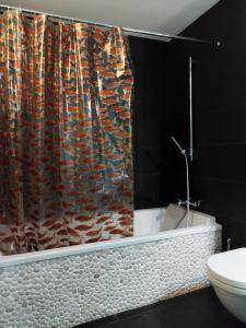 罗达德瓦拉LOFT A RODA DE BERÀ的带淋浴帘和卫生间的浴室