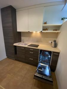 奈达普希纳斯公寓的厨房配有洗碗机和水槽。