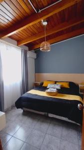 门多萨Hotel Alta Mendoza的一间卧室配有一张床和一个吊灯