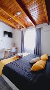 门多萨Hotel Alta Mendoza的一间卧室设有一张大床和一个大窗户