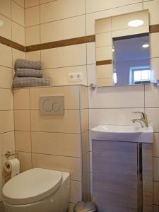 格洛米茨Pferdestall的一间带卫生间、水槽和镜子的浴室