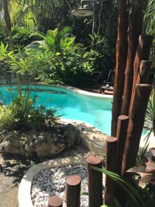 ChemuyilVerdeAmar Eco Lodge Jungle Retreat的花园中的一个游泳池