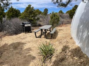 蒙蒂塞洛Canyon Rim Domes - A Luxury Glamping Experience!!的野餐桌和田野烧烤架