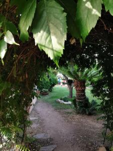 波尔图圣保罗Villa Acchiappasogni的一条穿过花园的小路,花园内绿树成荫