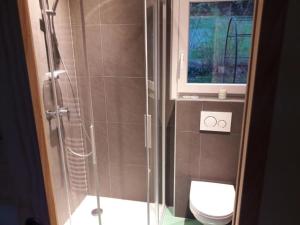 GlovelierChalet - Le Champ des Perches, Berlincourt的带淋浴和卫生间的浴室以及窗户。