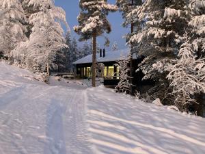 普哈圣山Porthos Ski Lodge的雪中的房子,有雪覆盖的树木