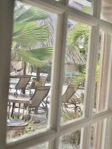 努尔德阿鲁巴岛热带公寓的从窗口欣赏桌椅的景色
