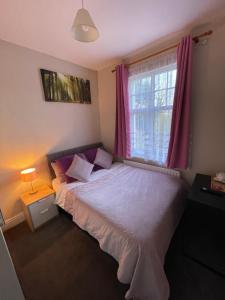 都柏林银鹰住宿加早餐旅馆的一间卧室配有床和一个带粉红色窗帘的窗户。