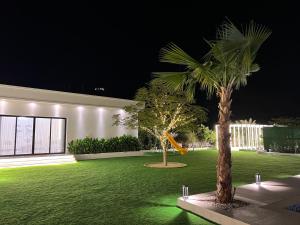 八田Quiet House villa的夜晚在院子里的棕榈树