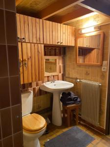 拉布雷斯RESIDENCE BELLE HUTTE COTÉ PISTES DE SKI 2的一间带卫生间和水槽的浴室