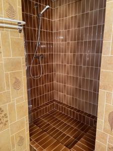 拉布雷斯RESIDENCE BELLE HUTTE COTÉ PISTES DE SKI 2的浴室设有棕色瓷砖淋浴。