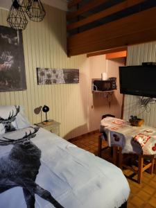 拉布雷斯RESIDENCE BELLE HUTTE COTÉ PISTES DE SKI 2的客房设有1张床、1张桌子和1台电视。