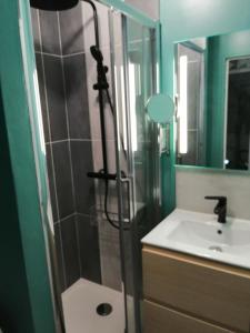 埃鲁维尔圣克莱Orion - SILS Coquet studio proche des commodités et transports的带淋浴和盥洗盆的浴室