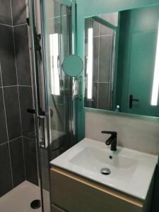 埃鲁维尔圣克莱Orion - SILS Coquet studio proche des commodités et transports的浴室配有盥洗盆和带镜子的淋浴
