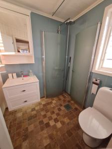 桑德维肯Grindstugan Högbo的浴室配有卫生间、盥洗盆和淋浴。
