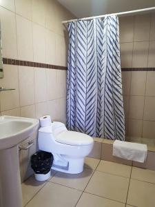 危地马拉Apartamento Reforma Ciudad de Guatemala的浴室配有卫生间、盥洗盆和淋浴。