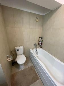 雅西Cozy Apartment - near Airport and Palas Mall的一间带卫生间和浴缸的浴室