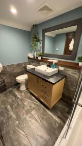 克兰布鲁克Beautiful Suite In Cranbrook!的一间带水槽、卫生间和镜子的浴室