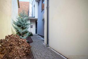 别洛瓦尔Apartment Heart of Bjelovar的楼旁的一条带圣诞树的小巷