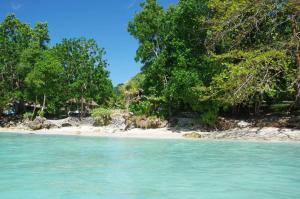 Hog HarbourLonnoc Beach Lodge的一片绿树成荫的海滩,前面有水