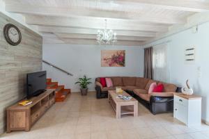 科林比亚Posidonia Luxury Villas Kolympia的带沙发和电视的客厅