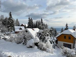 戈雷尼斯卡地区采尔克列雅各之家木屋的树前的雪覆盖的房子