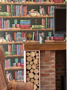 莫法特Cosy country cottage in rural location的壁炉,书架上摆放着书籍