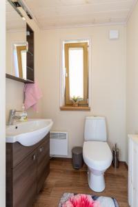 VergiVergi puhkemajad的浴室配有白色卫生间和盥洗盆。